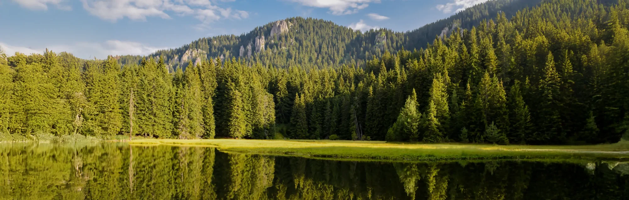 Chemco_header_enviro